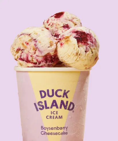 DUCK ISLAND ICE CREAM