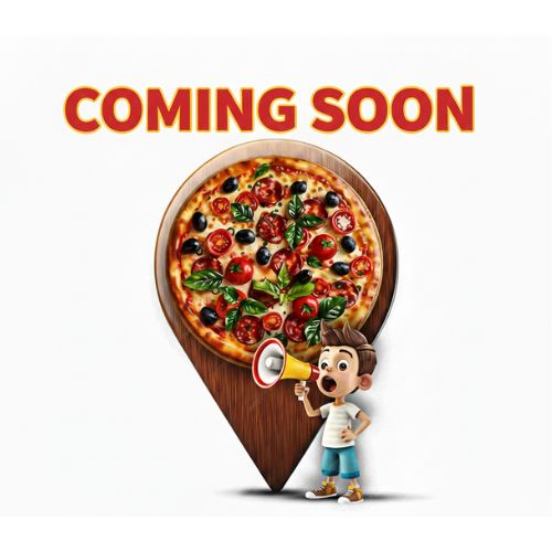 Tandoori Paneer Pizza (V)